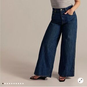 Free People We the Free Curvy Gia High Rise Wide Leg Jeans Size 28